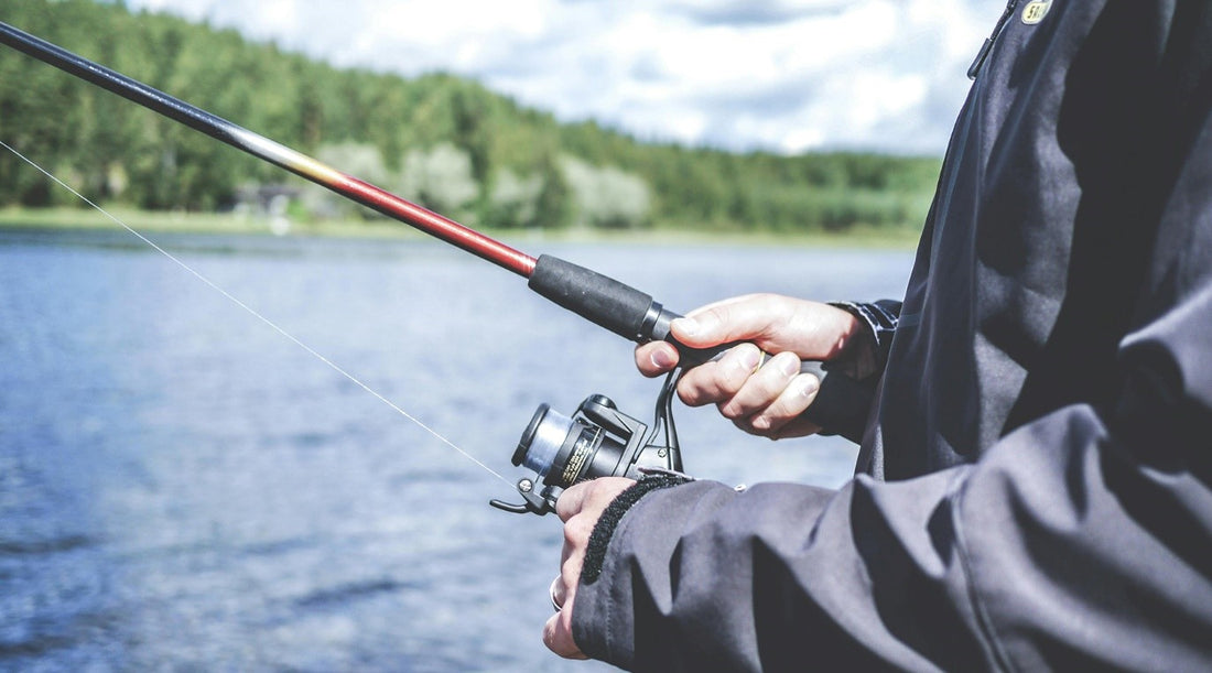 A Beginner's Guide to Fly Fishing: Tips and Techniques